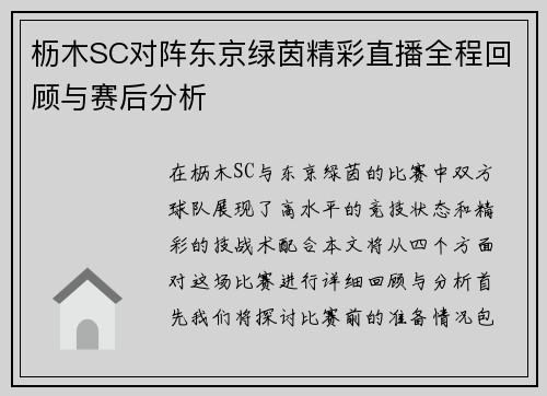 枥木SC对阵东京绿茵精彩直播全程回顾与赛后分析